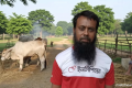 ফেনীতে অস্ত্র ঠেকিয়ে ব্যবসায়ীর গরু ছিনতাই