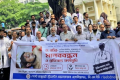 ডা. নাসিরের ওপর হামলার প্রতিবাদে বিএমইউতে চিকিৎসকদের মানববন্ধন