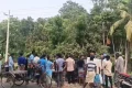 তালায় পিকআপের ধাক্কায় নিহত ২