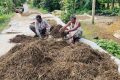 বোরো ধান হারিয়ে দিশেহারা হাওরের কৃষক, ঘরে নেই ঈদের আনন্দ