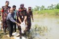 হবিগঞ্জে ২ কোটি টাকার চিংড়ির রেণু উদ্ধার, পরে নদীতে অবমুক্ত
