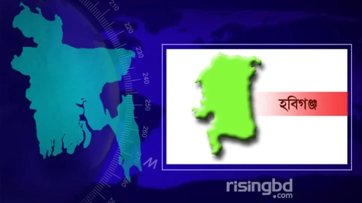 হবিগঞ্জে মোটরসাইকেল দুর্ঘটনায় দুই যুবক নিহত