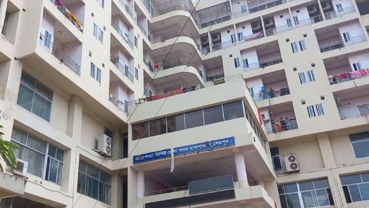 শেরপুরে ট্রাকের ধাক্কায় অটোরিকশার ২ যাত্রী নিহত