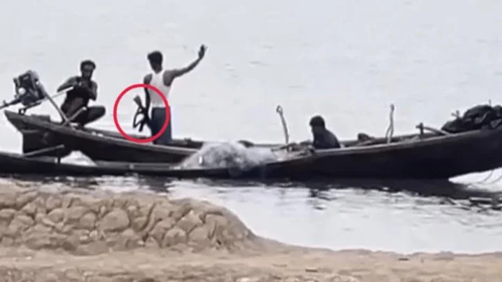 নাফ নদীতে জেলেদের লক্ষ্য করে গুলি