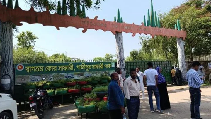 সাফারি পার্কে দর্শনার্থীদের ঢল, ৩ দিনে আয় ৭ লাখ টাকার বেশি