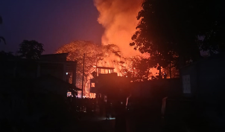 bandarban-baghmara-2605170419