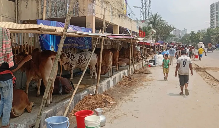 kamalapur-cowhaat-2352026-2605231048