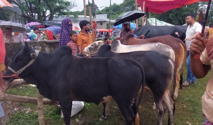 sunamgonj-2605261306