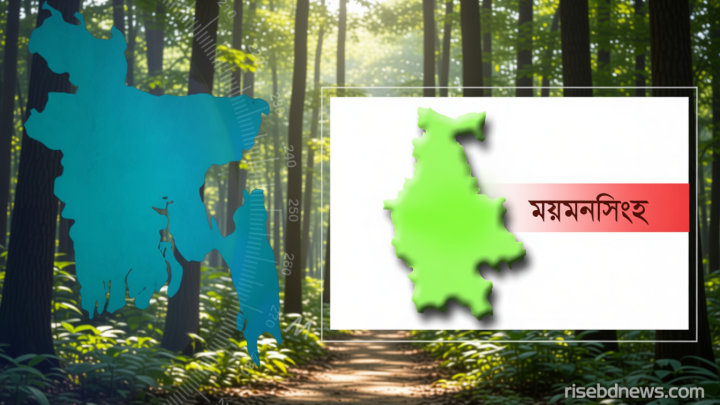 ব্রাজিলের পতাকা টাঙাতে গিয়ে বিদ্যুৎস্পৃষ্টে স্কুল ছাত্রের মৃত্যু