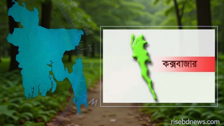 টেকনাফে অটোরিকশার ইঞ্জিন বক্সে ২৩ হাজার ইয়াবা!
