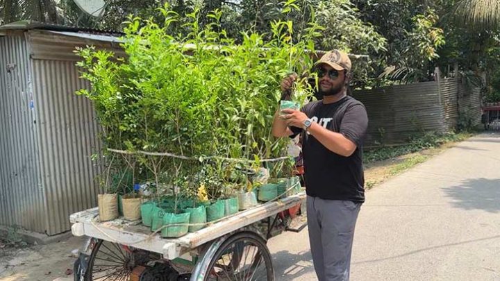দাদির কবরের ফুলগাছ চুরির জবাবে অভিনব উদ্যোগ শামীমের