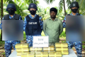 টেকনাফে সাড়ে ৬ কোটি টাকার ইয়াবা উদ্ধার, গ্রেপ্তার ১