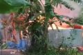 অভিযুক্তের বাড়িতে লাগানো আগুনে দগ্ধ ৩ জনের মৃত্যু