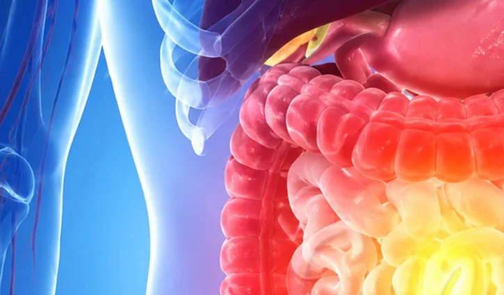 GUT-HEALTH-2606110604