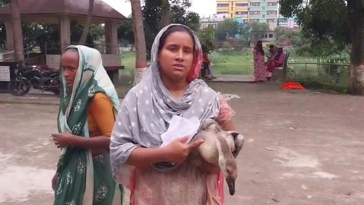 পা ভাঙা রাজহাঁস নিয়ে থানায় নারী