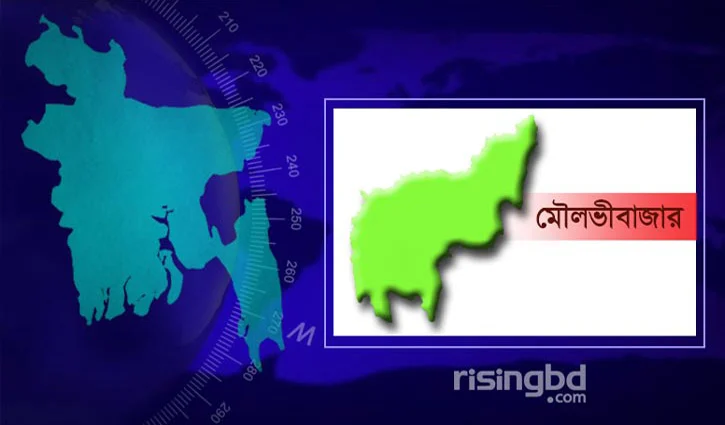 Maulovibazar-Risingbd-Map-2606161301