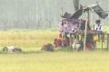 খাবার দেয়নি বিএসএফ, সহায়তার হাত বাড়িয়েছেন বাংলাদেশিরা