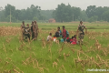 লালমনিরহাট সীমান্তে ৩৩ জনকে পুশইনের চেষ্টা, বিজিবির বাধা