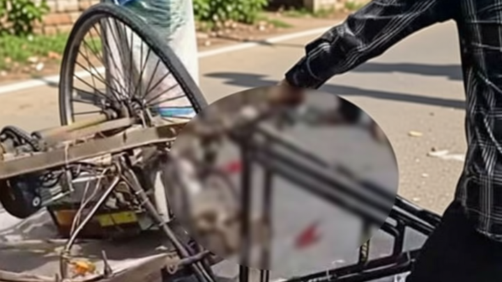 গোপালগঞ্জে বাসের ধাক্কায় ভ্যানচালক নিহত