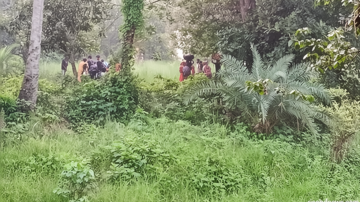 চাঁপাইনবাবগঞ্জ সীমান্তে ২৮ জনকে ঠেলে পাঠানোর চেষ্টা