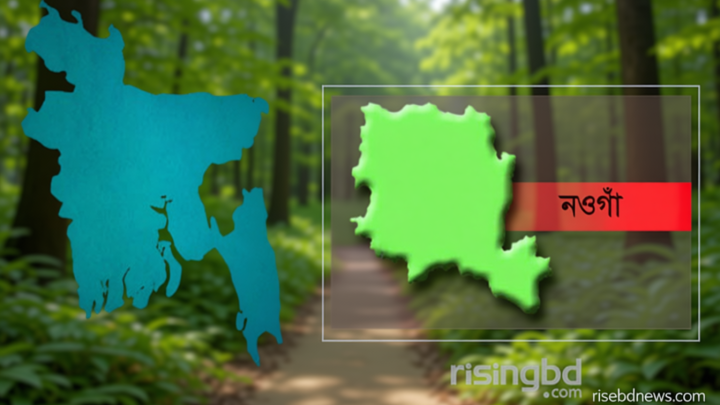 নওগাঁয় ১৭ জনকে পুশইনের চেষ্টা, বিজিবির প্রতিরোধ