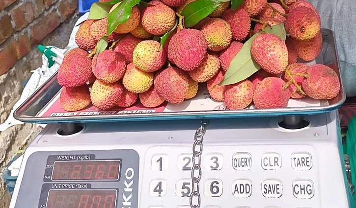 lichi-2605311645