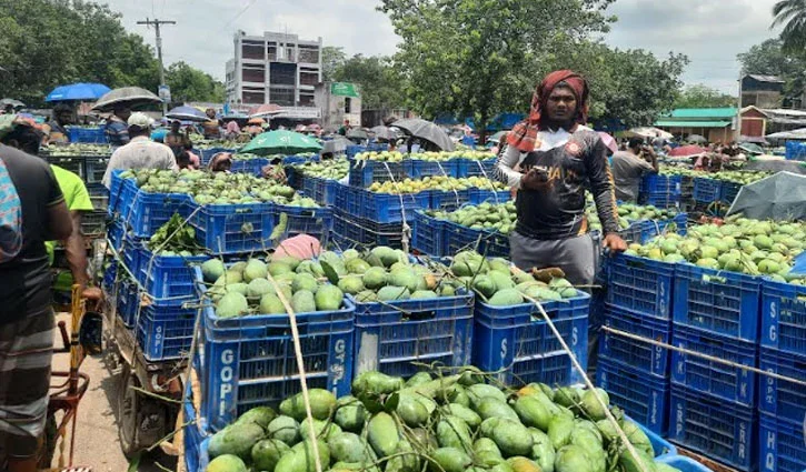mango-haat-2662026-2606261241