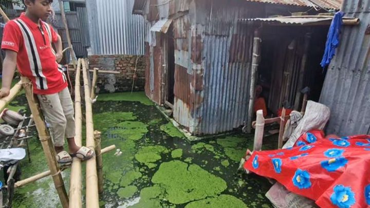 নরসিংদীতে ২৫০ পরিবার পানিবন্দি, ডুবেছে মসজিদ মাদ্রাসা কবরস্থান