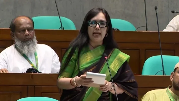 গত ১৫ বছর ব্যাংকগুলো রাজনৈতিক হাতিয়ার ছিল: রুমিন