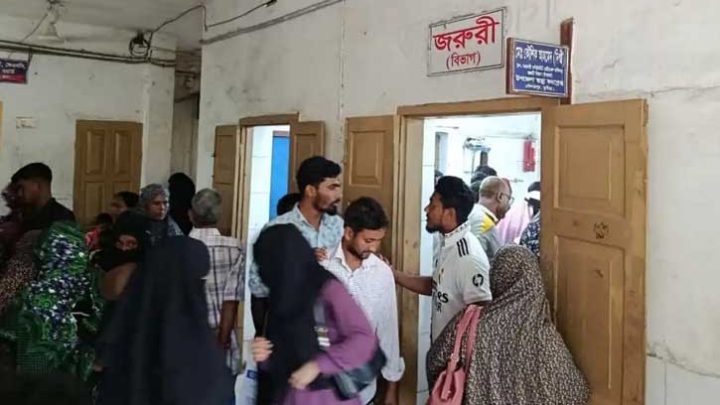 দৌলতপুরে সাপের কামড়ে আক্রান্ত ৮, শিশুর মৃত্যু