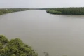 সুন্দরবনে প্রবেশে তিন মাসের নিষেধাজ্ঞা শুরু সোমবার