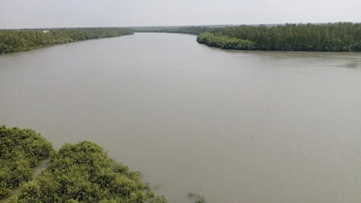 সুন্দরবনে প্রবেশে তিন মাসের নিষেধাজ্ঞা শুরু সোমবার