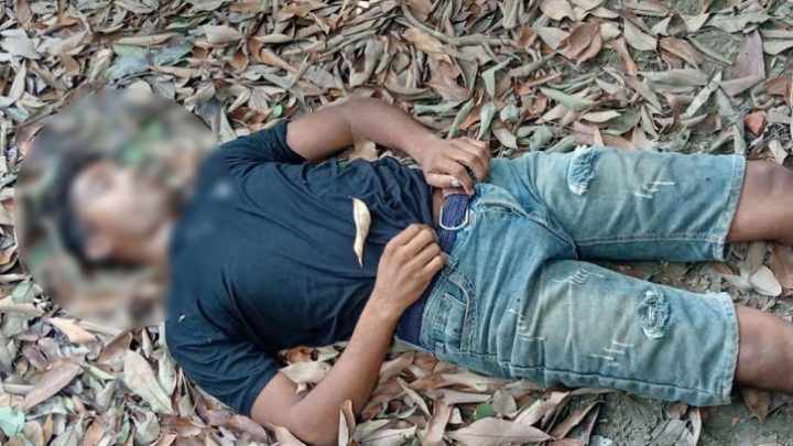 কালীগঞ্জে লিচুগাছে যুবকের ঝুলন্ত মরদেহ, পেটব্যথা ছিল বলে পরিবারের দাবি