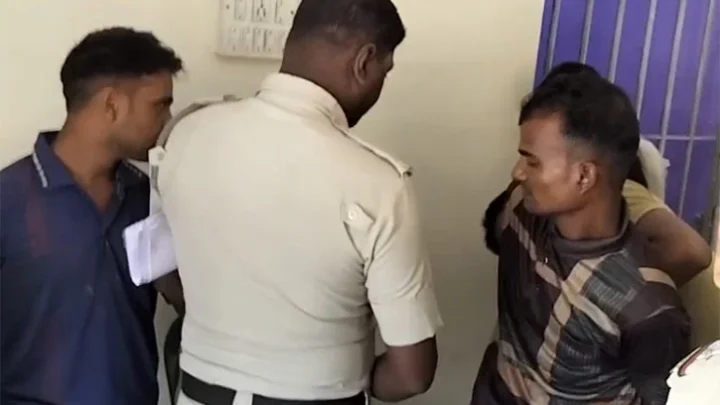 কাঁটাতার পেরিয়ে ভারতে গরু আনতে গিয়ে আটক ২ বাংলাদেশি