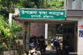 কুড়িগ্রামে শিয়ালের আক্রমণে ২ নারী আহত, এলাকায় আতঙ্ক