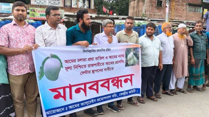 আমের ‘ঢলতা’ প্রথা বাতিল এবং প্রসেসিং সেন্টারের দাবিতে মানববন্ধন