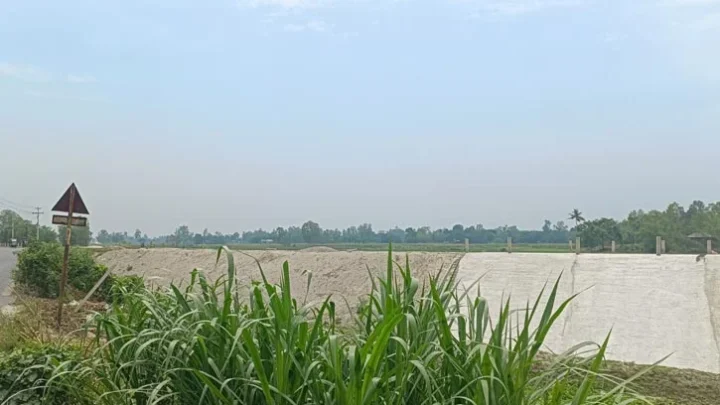 সড়ক নির্মাণে হুমকির মুখে পাখির অভয়ারণ্য নিলুয়া বিল