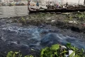 বর্ষায় প্রাণ, বাকি আট মাসে দূষণের বিষে বুড়িগঙ্গা